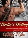 Devlin's Destiny
