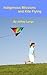 Indigenous Missions and Kite Flying