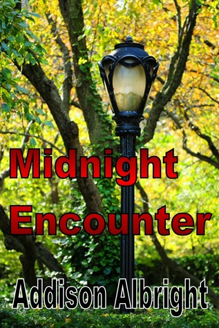 Midnight Encounter (ebook)