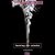 Looking for Alaska by John Green
