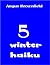 5 Winter Haiku