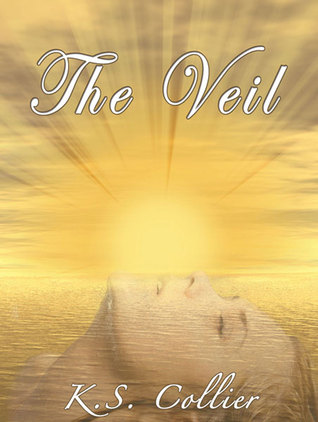 The Veil (Kindle Edition)