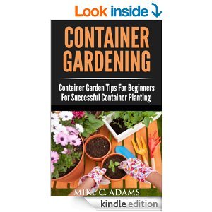Container Gardening : Container Garden Tips For Beginners For Successful Container Planting
