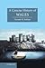 A Concise History of Wales (Cambridge Concise Histories)