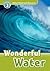 Wonderful Water