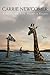 A Permeable Life: Poems & Essays