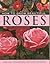 How to Grow Beautiful Roses by Peter McHoy