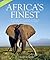 Africa's Finest: The Most S...