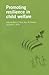 Promoting Resilience in Child Welfare