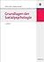 Grundlagen der Sozialpsychologie (Wolls Lehr- und Handbücher ... by Lorenz Fischer