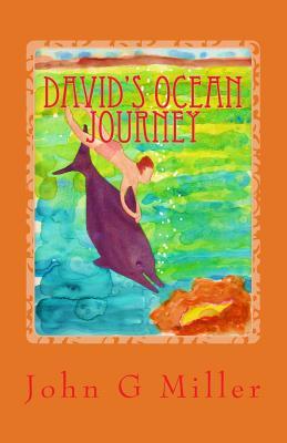 David's Ocean Journey