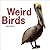 Weird Birds