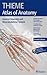 General Anatomy and Musculoskeletal System, 2e (THIEME Atlas of Anatomy)