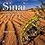 Sinai: Landscape and Nature...