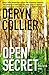 Open Secret (Bern Fortin, #2)
