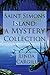 St. Simons Island: A Mystery Collection