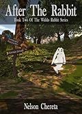 After the Rabbit