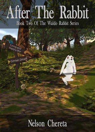 After the Rabbit (Waldo Rabbit, #2)