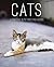 Cats: A Portrait in Pictures and Words