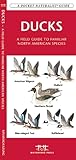 Ducks: A Field Guide to Familiar North American Species (Pocket Naturalist Guide Series)