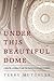 Under This Beautiful Dome by Terry Mutchler Under This Beautiful Dome by Terry Mutchler