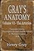 Gray's Anatomy - Volume VI ...