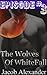 Episode 3: The Wolves Of Whitefall