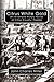 Citrus White Gold: An Alternate History of Citrus County, Florida (Florida Time Travel and History Book 1)