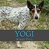 Yogi by Kimmy Page