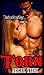 TORN by Abigail Stone
