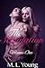 The Stipulation (The Stipulation, #1)