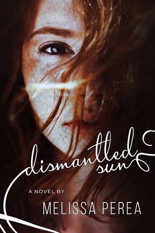 Dismantled Sun (Cardboard Hearts, #2)