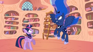 The Princess of Books