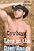 Cowboys: Love on the Open Range