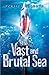 The Vast and Brutal Sea (The Vicious Deep #3)