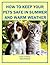 How to Keep Your Pets Safe ...