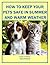 How to Keep Your Pets Safe in Summer and Warm Weather by Evelyn Trimborn