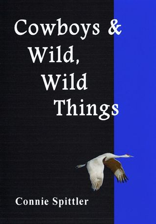 Cowboys & Wild, Wild Things