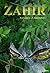 Zahir