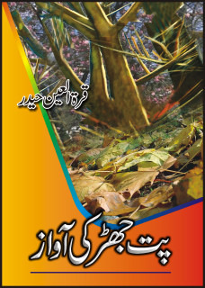 Pat Jhar Ki Awaz / پت جھڑ کی آواز (Hardcover)