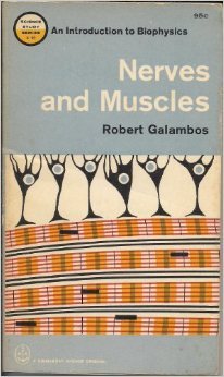 Nerves and Muscles (Paperback)