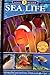Sea Life: Discover the Fascinating World of Sea Life (Leveled Readers, Level 3)