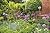 The RHS Companion to Scente...