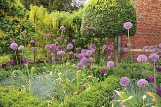 The RHS Companion to Scented Plants