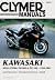 Kawasaki 900-1100 Ninja