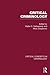 Critical Criminology (Critical Concepts in Criminology)