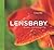 Lensbaby: Bending your pers...