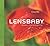 Lensbaby: Bending your perspective