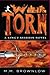 War Torn (King's Assassin #2)