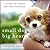 Small Dogs, Big Hearts: A G...
